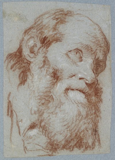 Head of an Old Bearded Man by Giovanni Battista Tiepolo