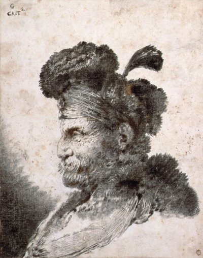 Head of an Oriental in Profile to the Left by Giovanni Benedetto Castiglione