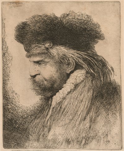 Bearded Man in a Fur Cap, Facing Left by Giovanni Benedetto Castiglione