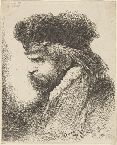 Bearded Man in a Fur Cap, Facing Left by Giovanni Benedetto Castiglione