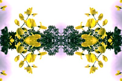 Unnatural 151.2 by Giovanni Cafagna
