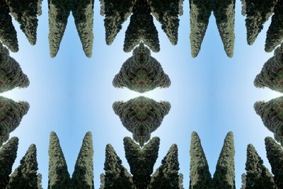 Unnatural 169 by Giovanni Cafagna
