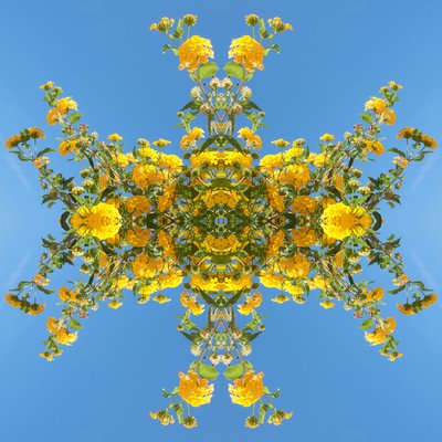Unnatural 193 by Giovanni Cafagna