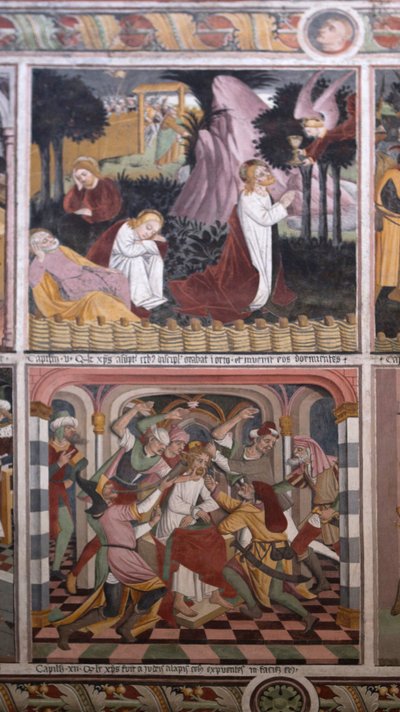 Scenes from the life of Christ by Giovanni Canavesio