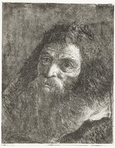 Man with Long Hair and Beard by Giovanni Domenico Tiepolo