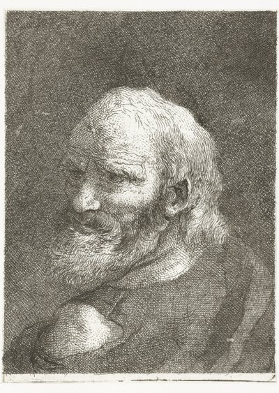 Man with Bare Shoulder (Collection of Heads) by Giovanni Domenico Tiepolo