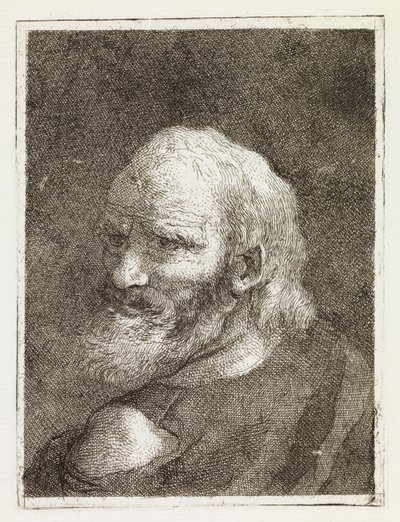 Old Man Represented from the Back by Giovanni Domenico Tiepolo