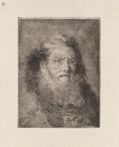 Old Man with Bare Head, from the Collection of Heads by Giovanni Domenico Tiepolo
