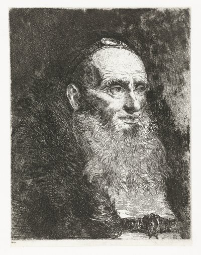 Old Man (series title: Collection of Heads) by Giovanni Domenico Tiepolo