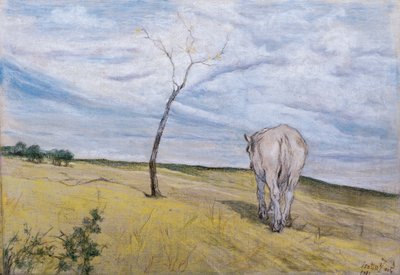 White Horse by Giovanni Fattori