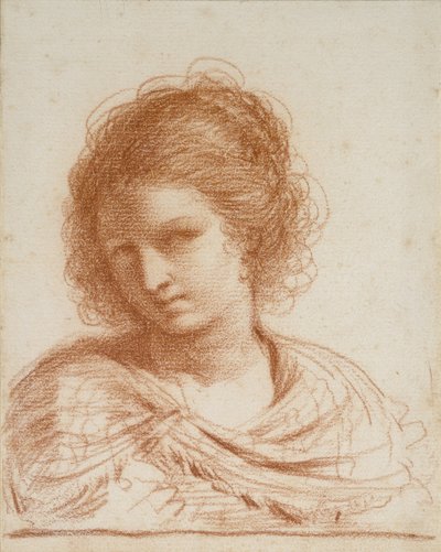 Head of a Young Woman by Giovanni Francesco Barbieri