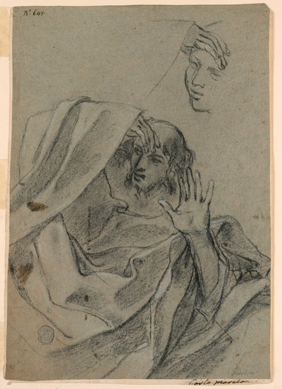 Drawing Studies with Woman