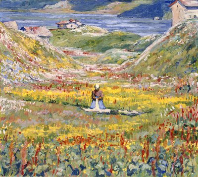 Flowering Meadows in Maloja by Giovanni Giacometti
