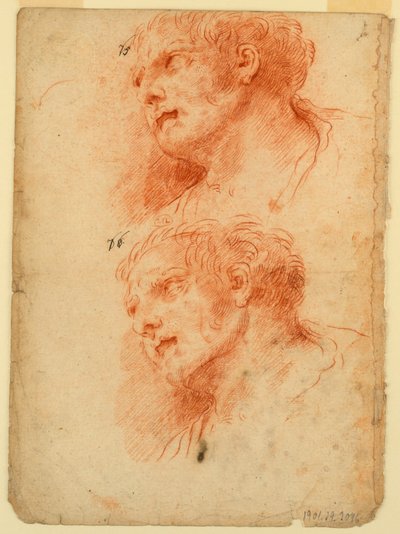Four Studies After the Head of a Man by Giovanni Giardini
