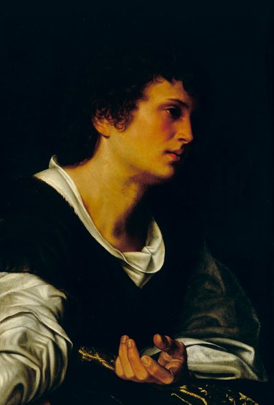 Figure of a Young Man, c.1530 by Giovanni Girolamo Savoldo