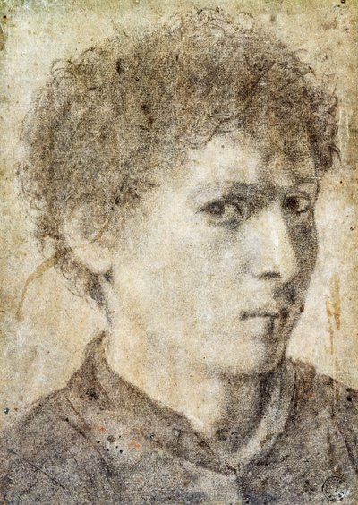 Head of Young Boy, Drawing by Gian Girolamo Savoldo by Giovanni Girolamo Savoldo