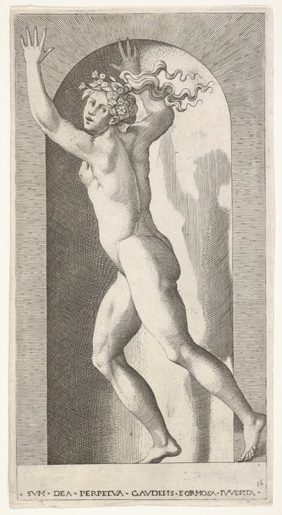 Hebe in a Niche by Giovanni Jacopo Caraglio