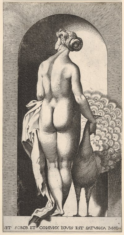 Plate 4: Juno standing in a niche, viewed from behind, stroking a peacock to her right, 1526 by Giovanni Jacopo Caraglio