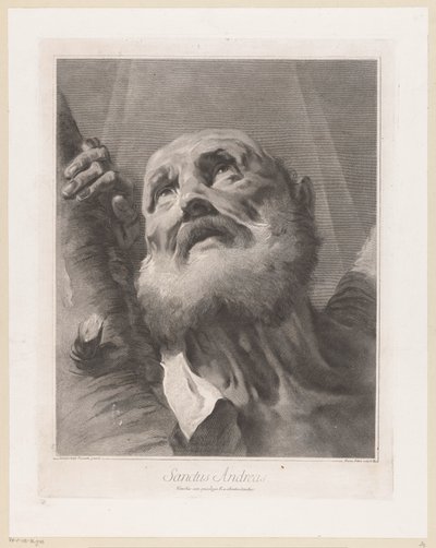 Apostle Andrew by Giovanni Marco Pitteri