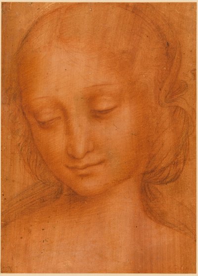 Head of a Woman by Giovanni Pietro Rizzoli Giampietrino
