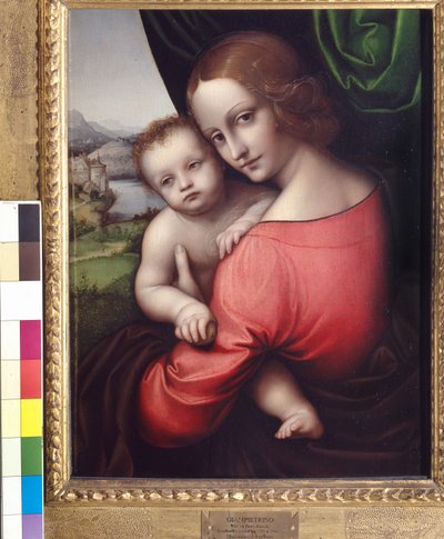 Madonna and Child (Our Lady of the Apple) by Giovanni Pietro Rizzoli Giampietrino