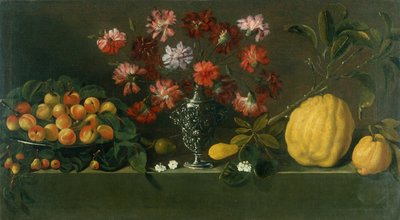 Plums on a Dish, Carnations in an Urn, Quinces on a Ledge by Giovanni Quinsa