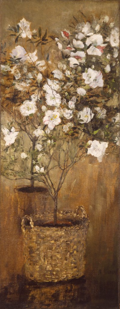 Pots of Azaleas by Giovanni Segantini