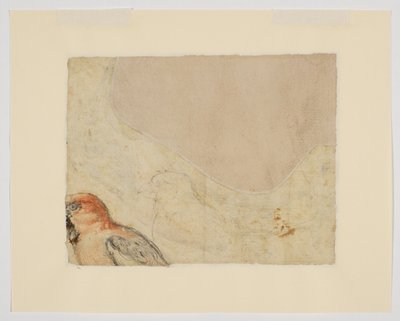 Bird study (detail) by Giovanni da Udine (after)