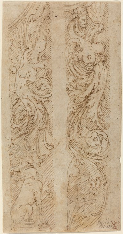Grotesque Decorations for Wall Panels by Giovanni da Udine