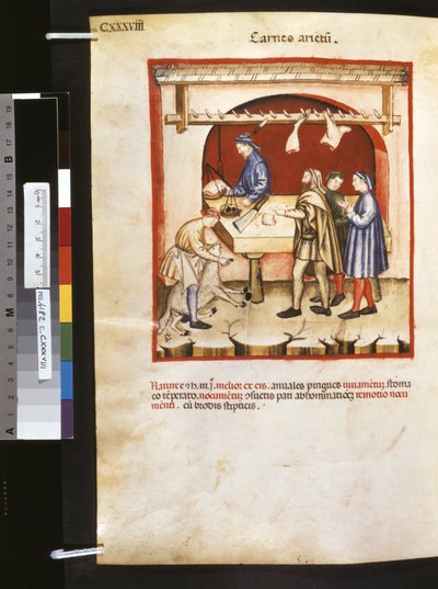 Theatrum sanitatis by Ububchasym de Baldach: 
