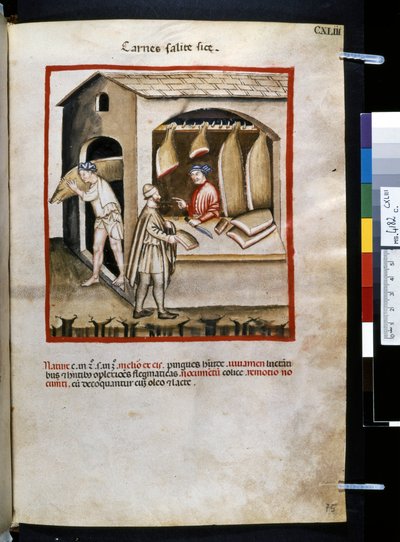 Theatrum sanitatis by Ububchasym de Baldach: 
