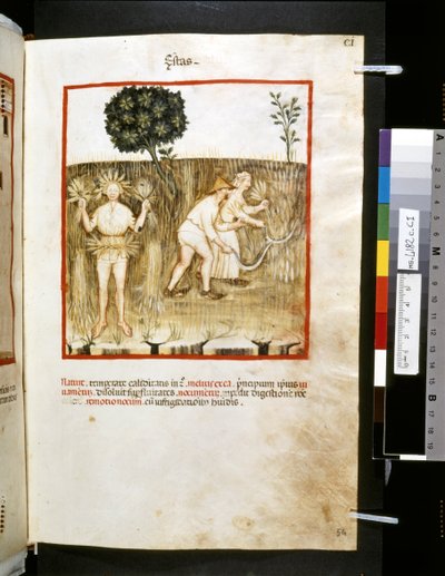 Theatrum Sanitatis by Ububchasym de Baldach: 