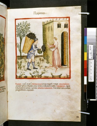 Theatrum sanitatis by Ububchasym de Baldach: 