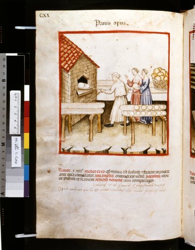Theatrum sanitatis by Ububchasym de Baldach: 