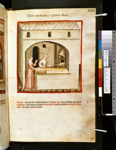 Theatrum sanitatis by Ububchasym de Baldach: 