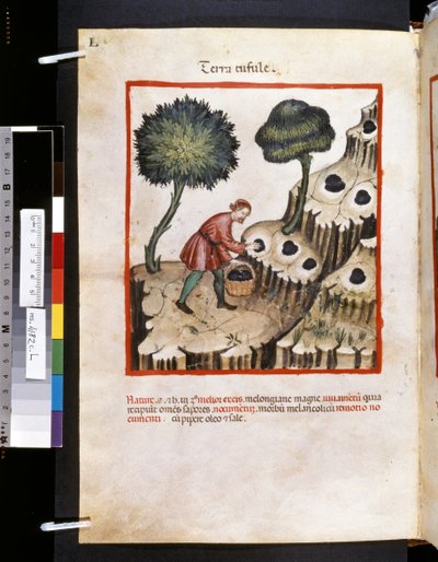 Theatrum Sanitatis by Ububchasym de Baldach: 