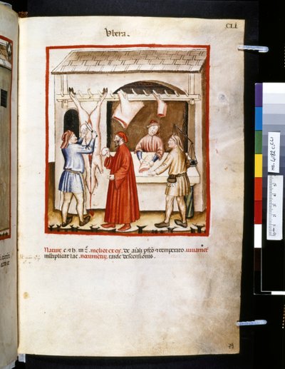 Theatrum sanitatis by Ububchasym de Baldach: 