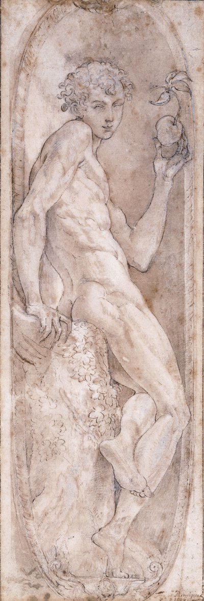Adam holding an Apple, seated, in a Medallion, c.1547-1553 by Girolamo Mazzola Bedoli