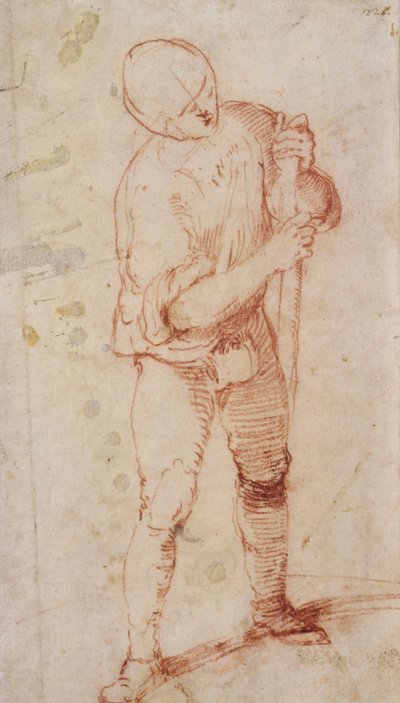 A Standing Man Holding a Staff by Girolamo Romanino