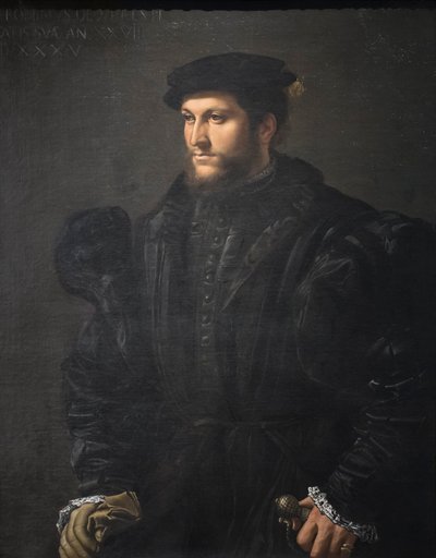 Portrait of a Gentleman in Black by Girolamo da Carpi