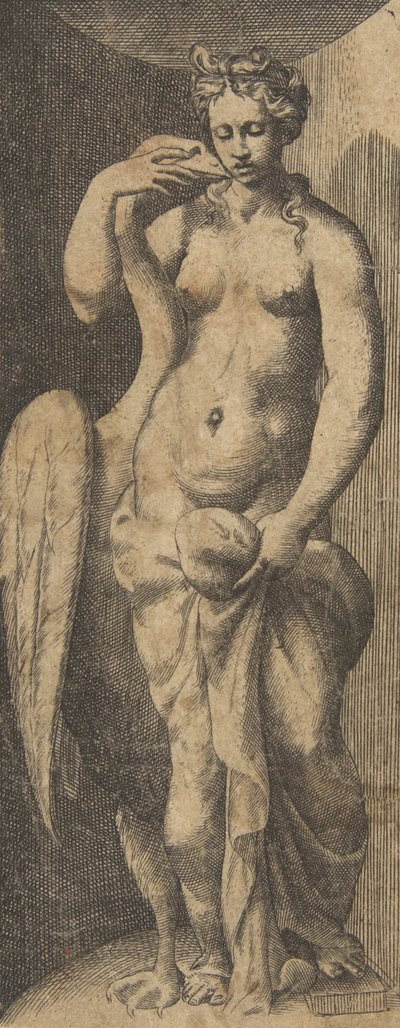 Leda and the Swan by Giulio Bonasone