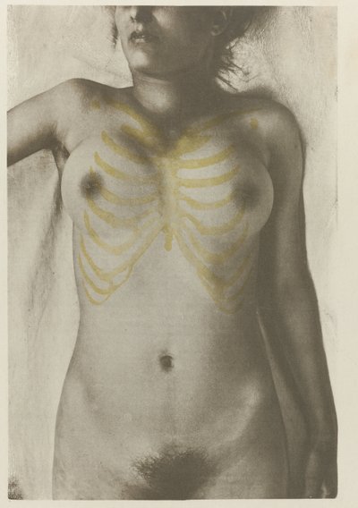 Anatomical Photo of a Female Corpse: 
