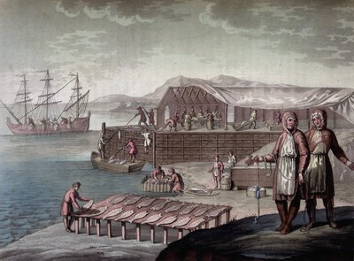 Cod fishing made by the inhabitants of Newfoundland - in The Old and Modern Costume by Ferrario, ed. Milan by Giulio Ferrario