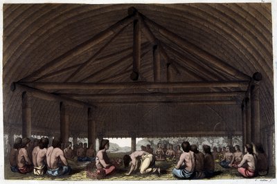On the island of Friends (Tonga), King Pulaho drinks the Kava - in The Old and Modern Costume by Dr. Jules Ferrario, ed. Milan by Giulio Ferrario