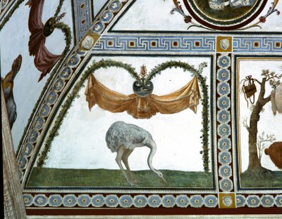 Camera con Fregio di Amorini, Ostrich (detail) by Giulio Romano