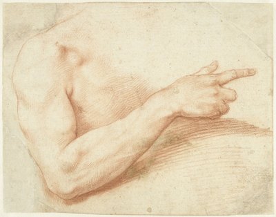 Study of an Arm by Giuseppe Cesari