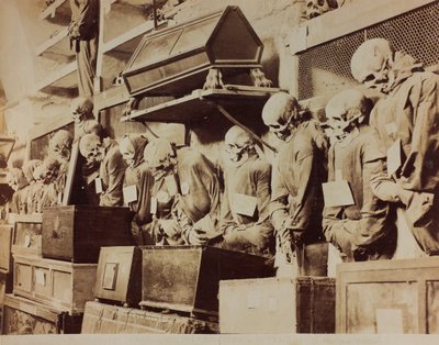 Detail of the Catacombs of the Capuchin Friars in Palermo by Giuseppe Incorpora