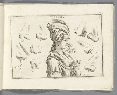 Odorare by Giuseppe Maria Mitelli