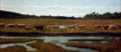 The Mirror of Life by Giuseppe Pellizza da Volpedo