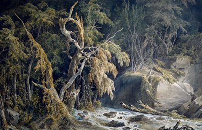 Rocky Landscape with Trees Uprooted by Giuseppe Pietro Bagetti